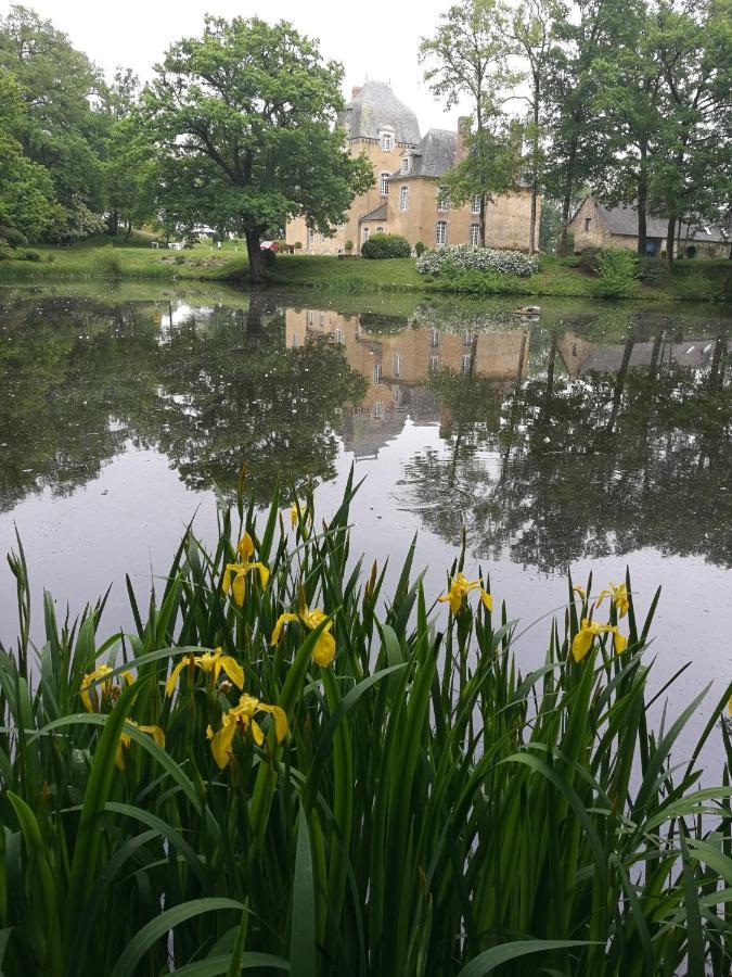 Chateau Du Bois Glaume Poligné Zewnętrze zdjęcie