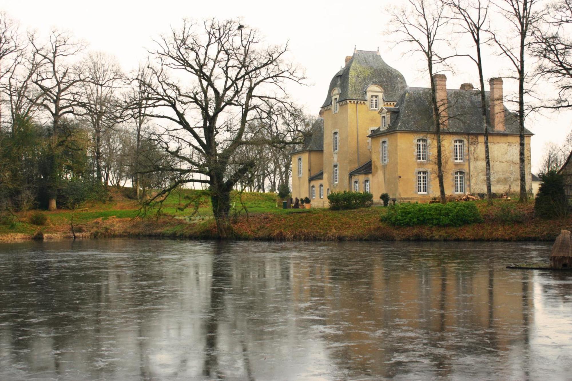 Chateau Du Bois Glaume Poligné Zewnętrze zdjęcie